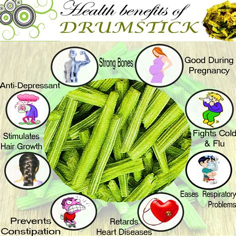 Drumstick | Properties, Nutritional Values - Veggies Info | Veggies Info