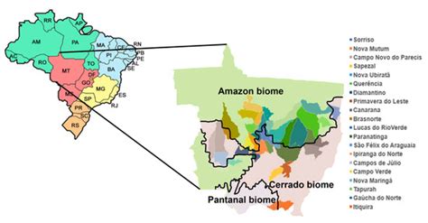 Development Indicators and Soybean Production in Brazil