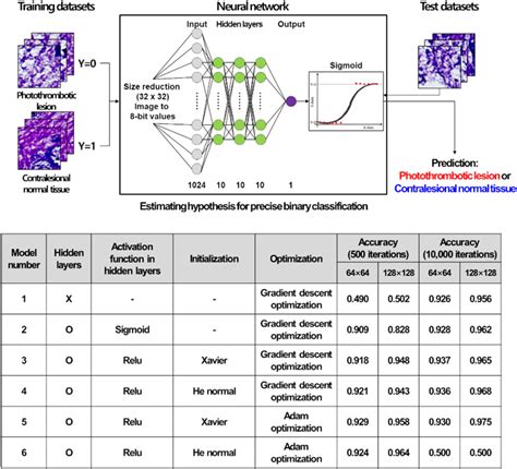 Image result for Binary Classification Machine Learning Algorithm
