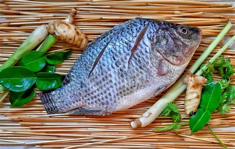 ikan nila resep