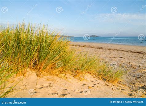 Sand Dunes and Beach stock image. Image of rocks, coast - 3469563