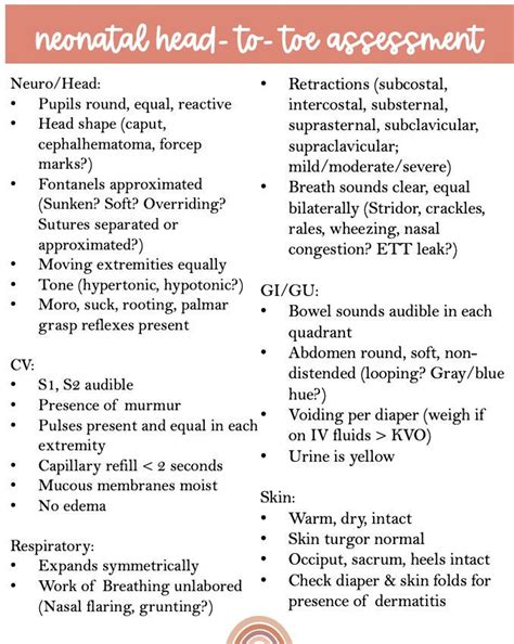 NICU Neonatal Nursing Head to Toe Assessment Cheat Sheet printable - Etsy