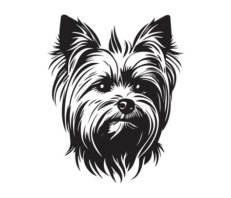 Yorkshire Terrier Face, Silhouette Dog Face, black and white Yorkshire Terrier vector 22925350 ...