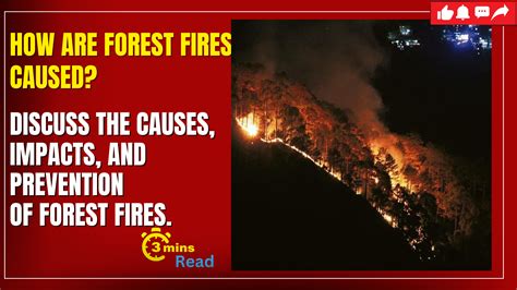 How are forest fires caused? Discuss the causes, impacts, and prevention of forest fires ...