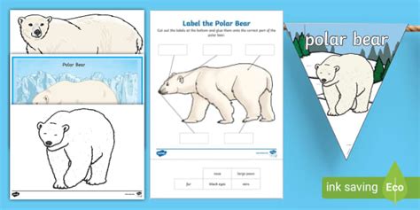 International Polar Bear Day Celebration Ideas and Finding Out Why We