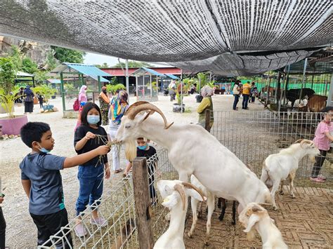 Pavilion Petting Zoo - tempahhotel.com - Tawaran Harga Hotel & Resort ...
