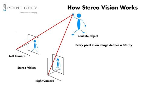 Stereo Microscope 的图像结果