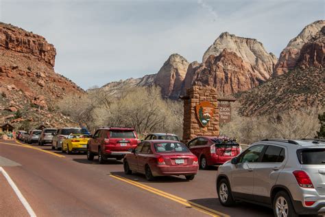 Wildlife in Zion: Where & When to Spot Animals | The Riv at Zion