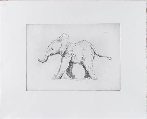 Elephant – Phoebe Dickinson