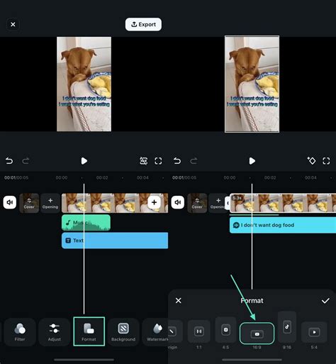 Como fazer um vídeo de cachorro falante 2025
