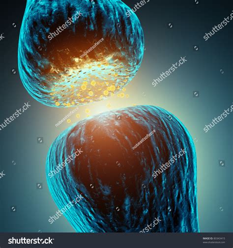 Neuron Synapse Synaptic Transmission Neurotransmitter 3d Stock ...