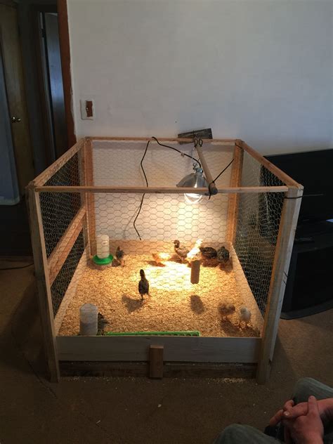6 perfect chick brooder ideas – Artofit
