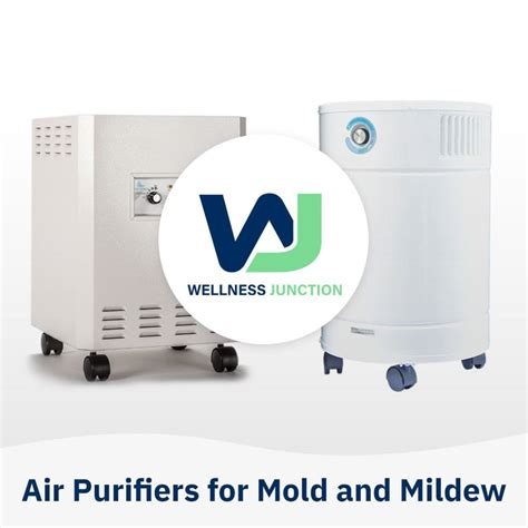 Best Air Purifiers for Mold and Mildew | Wellness Junction