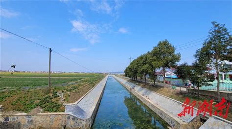 沙土“旱改水” 垸区“银变金”——桃源县耕地保护见闻 - 常德 - 新湖南