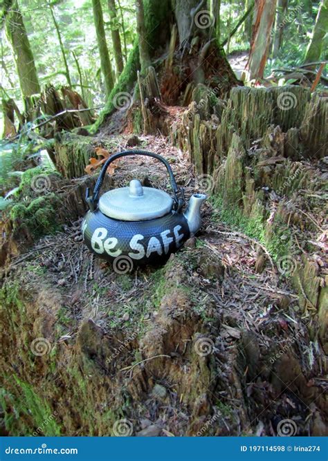 Chilliwack Cultus Lake