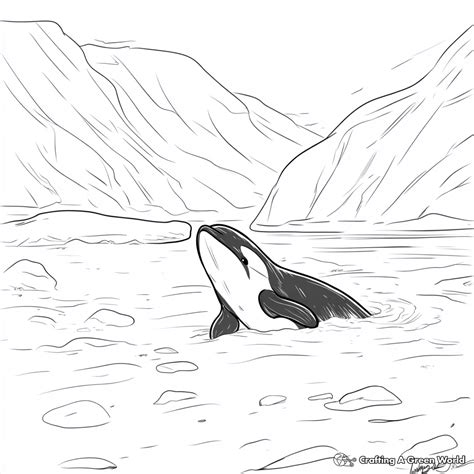 Orca Coloring Pages 12 Creative Whale Coloring Pages (Free PDF
