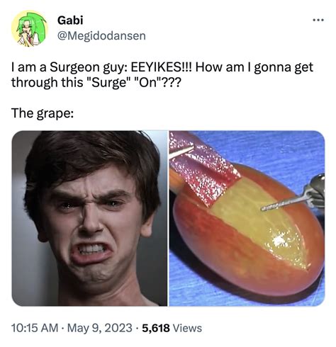 I Am A Grape Surgeon | I Am A Surgeon, Dr. Han! | Know Your Meme