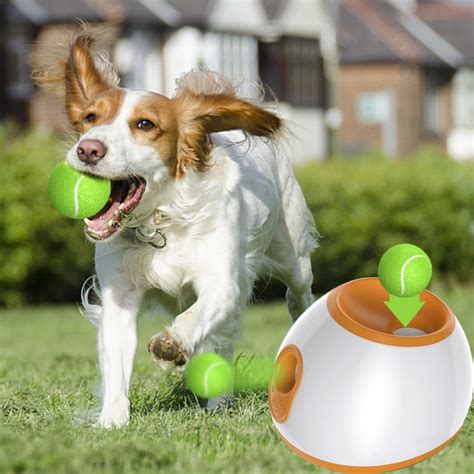 Dog Tennis Ball Launcher