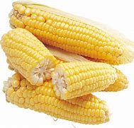 Image result for corn
