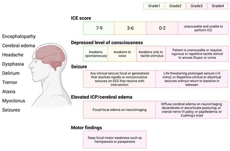 Exploring CAR-T Cell Therapy Side Effects: Mechanisms and Management Strategies