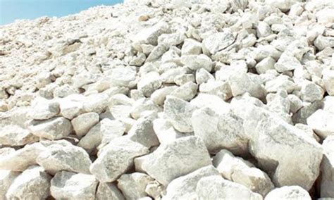 White Earth Pvt Ltd | Salt manufacturer in Delhi/Ncr | Salt importer ...