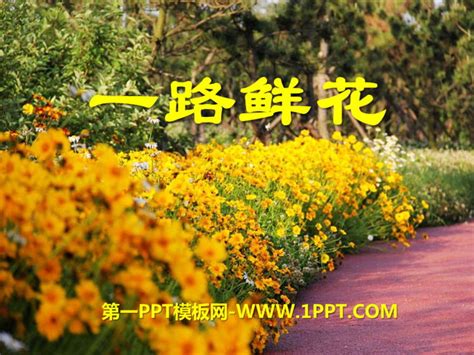 《一路鲜花》PPT课件4PPT课件下载 - 第一PPT