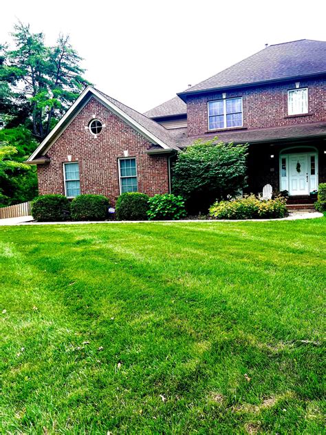 Gallery - St. Louis Lawn Care