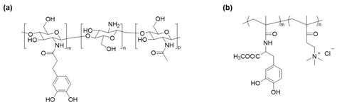Catechol-Based Antimicrobial Polymers