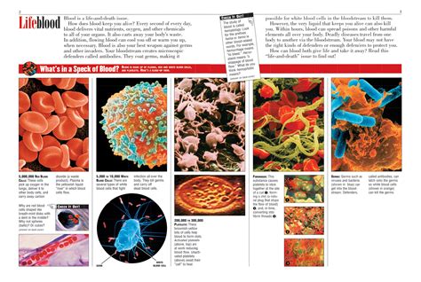 Free Science Lessons Blood 的图像结果