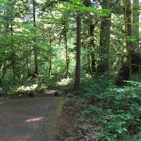 McKenzie River Trailhead at Paradise Campground | The Dyrt