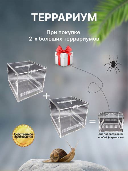 Террариумы для пауков, улиток, палочников, богомолов - купить с ...