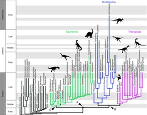 《自然》杂志本期封面：恐龙关系新假说 - 化石网