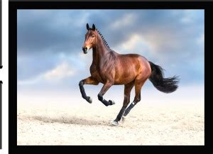 lyrarts Wood Wall Photo Frame Price in India - Buy lyrarts Wood Wall ...