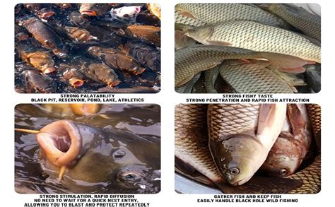 UJEAVETTE® Red Worm Scent Tackle Fish Concentrated for Catfish Trout ...