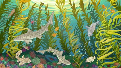 Kelp Forest Drawing