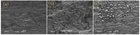 Effect of Normal Load on the Current-Carrying Friction Performance of ...