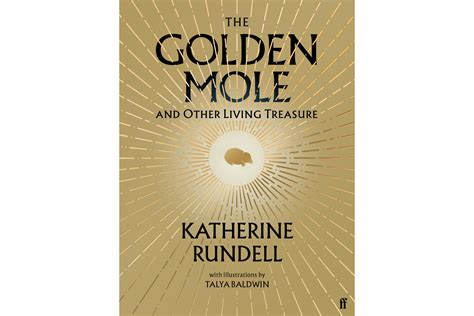 Katherine Rundell: Interview With The Author Of The Golden Mole