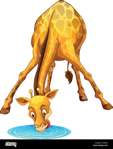 How To Draw A Giraffe Drinking Water