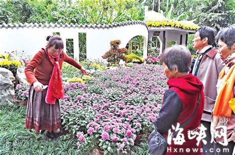 福州西湖万菊争艳 有游客为自拍踩绿地 - 文明监督 - 文明风