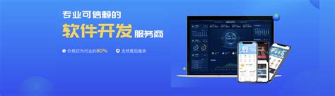 软件开发服务-北京赛西科技发展有限责任公司