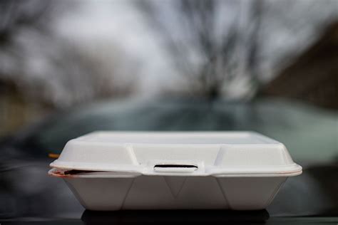 Polystyrene Hot Dog Containers | 7petals.in