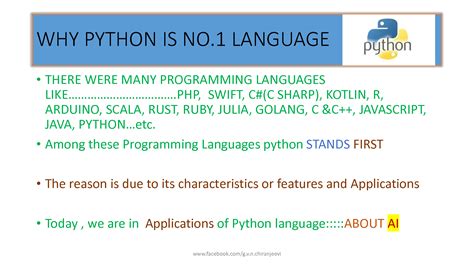 Python AI Application 的图像结果