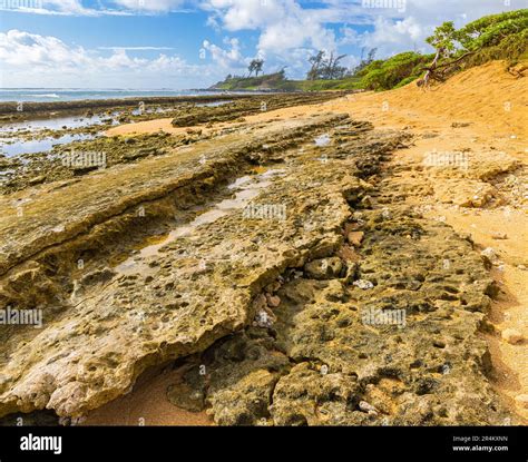 Exposed Coral Reef and Tide Pools at Nukolii Beach, Kauai, Hawaii, USA ...