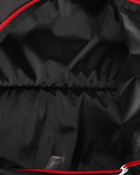 Buy Red Wildcraft Colourblock Backpack with Brand Print | AJIO