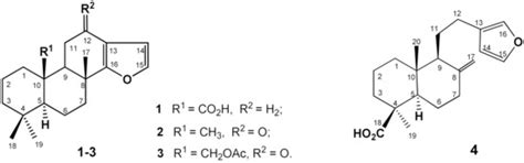 An Approach toward 17-Arylsubstituted Marginatafuran-Type Isospongian ...