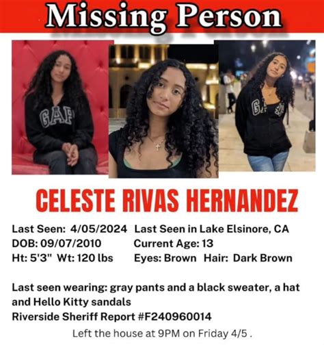 Missing teenager identified as body in Laneway star D4vd’s car - NZ Herald