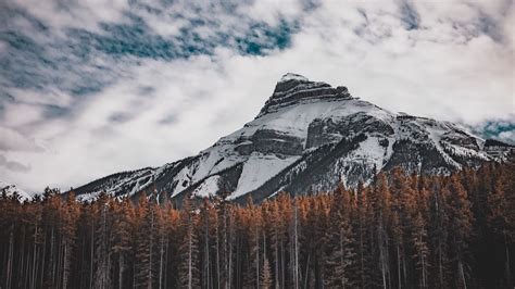 Wallpaper mountain, bottom view, trees, sky hd, picture, image