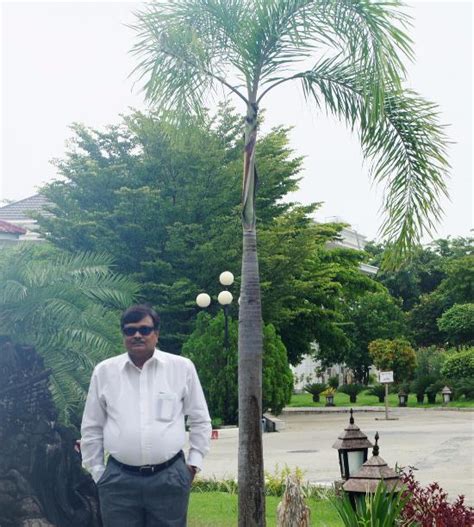 GOLDEN MYANMAR HOTEL (Naypyidaw) - Specialty Hotel Reviews & Photos ...