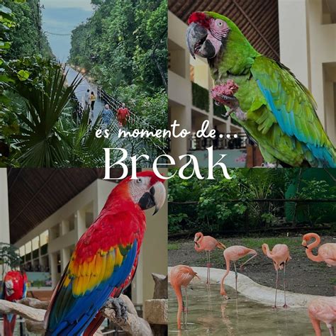 Valeria Ruvalcaba (@valeriarc_ju) • Instagram photos and videos