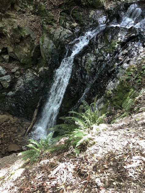 Uvas Canyon County Park, Morgan Hill, CA, USA : r/hiking